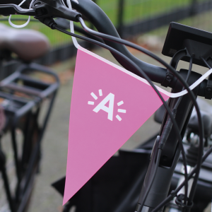 Bicycle flags