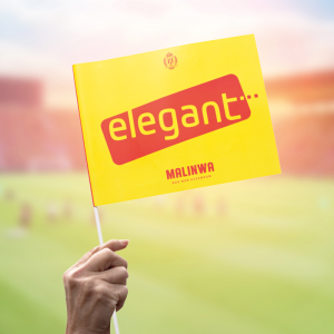 Supporters flags