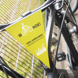 Bycicle flags 15 x 21 cm