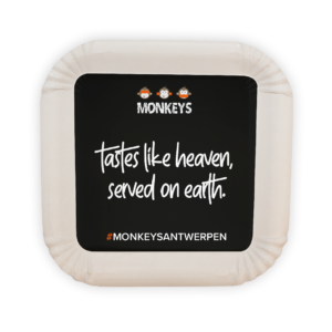 Paper dish plates square 20 x 20 cm